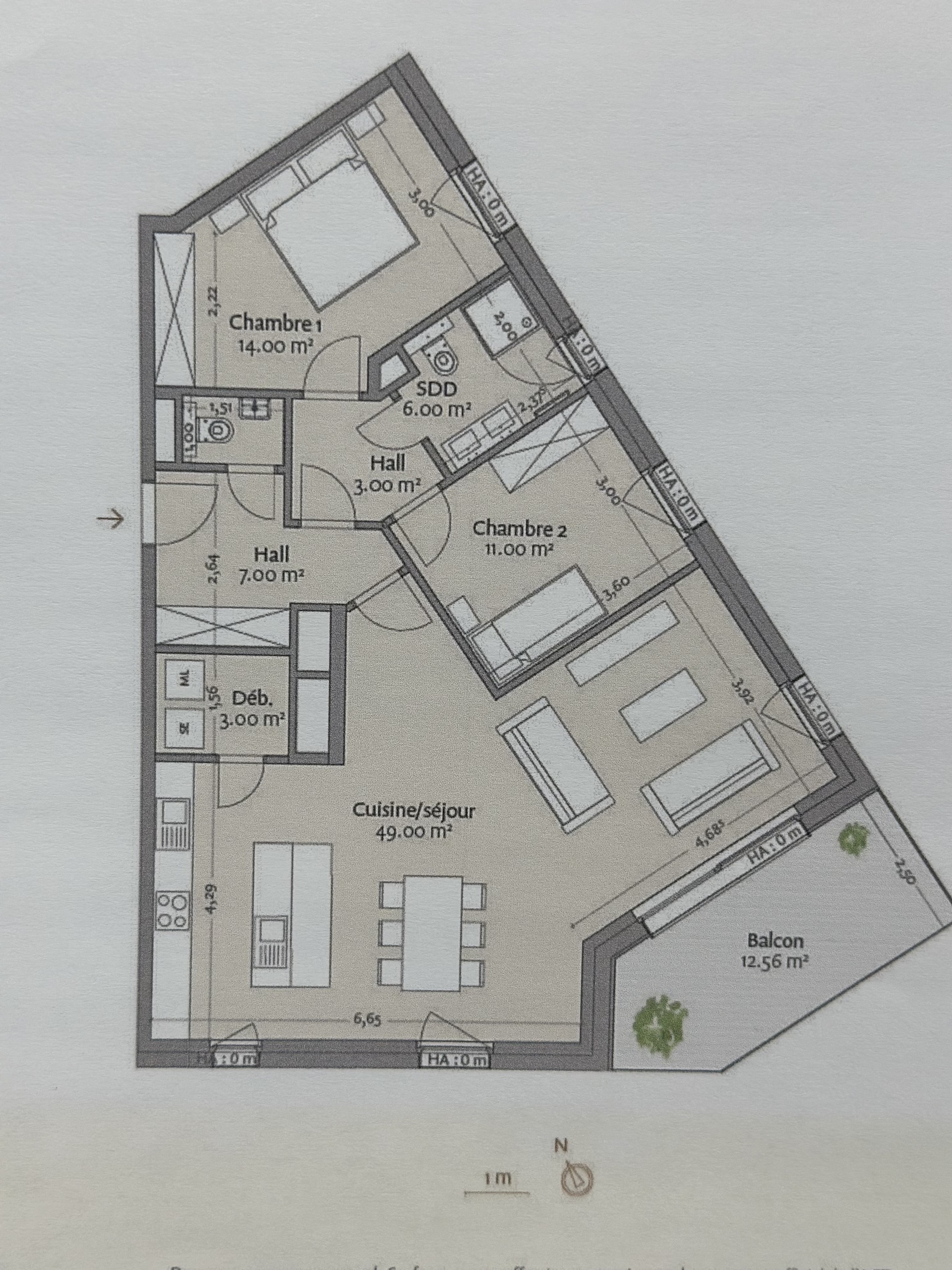 Image 2