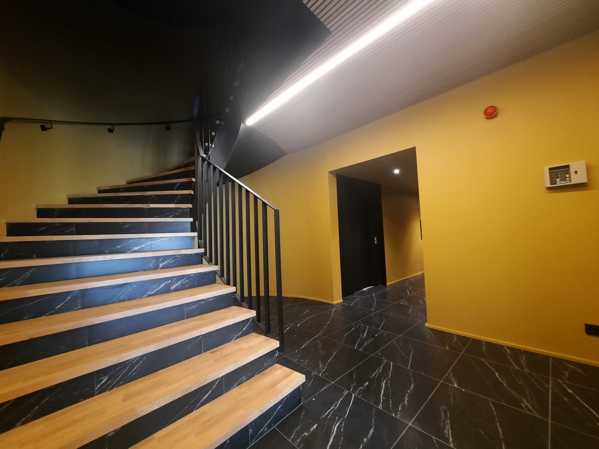 Image 10